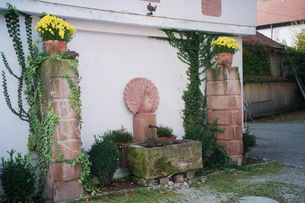 Tiptop Hotel Garni Pfauen انديغن المظهر الخارجي الصورة