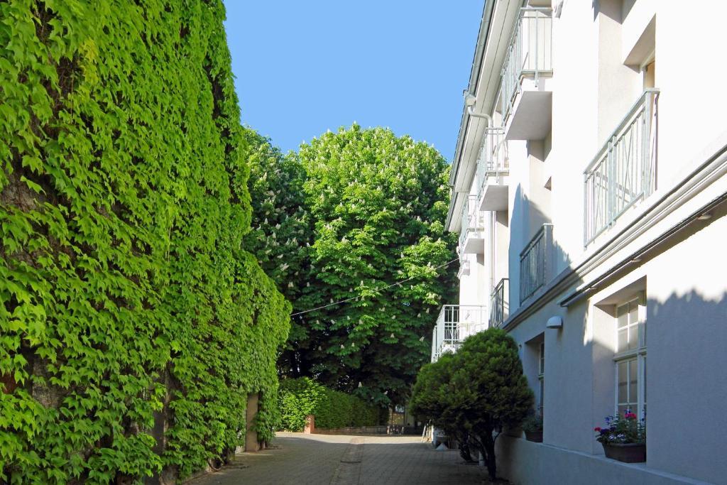 Tiptop Hotel Garni Pfauen انديغن المظهر الخارجي الصورة